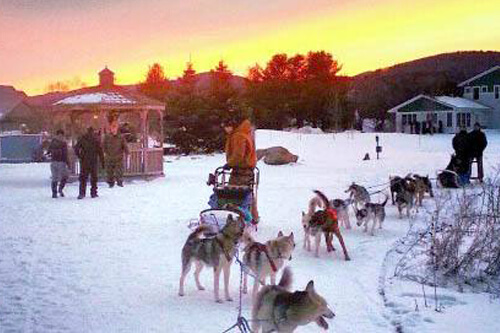 dogsled