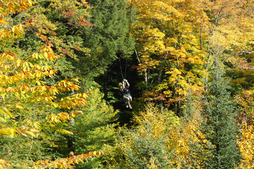 foliage boat tour zip lining